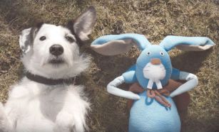 thinkbox_harvey_and_rabbit 2